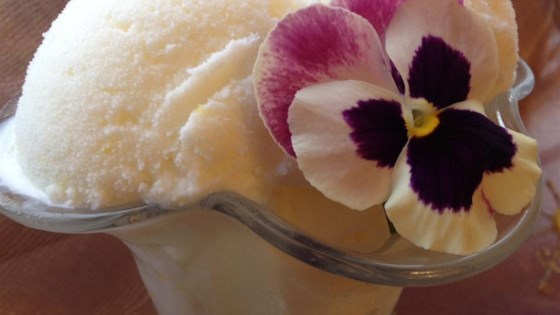 Grandma Peggy's Lemon Ice