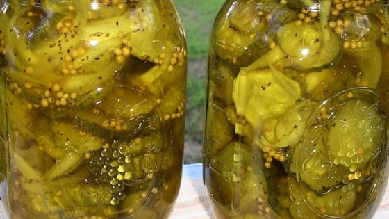 Bread and Butter Pickles I