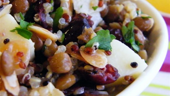 Cranberry Lentil and Quinoa Salad