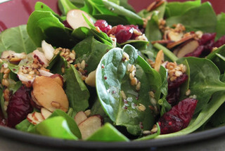 Cranberry Salad Recipes